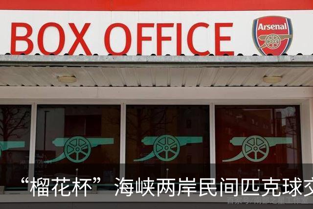 “榴花杯”海峡两岸民间匹克球交流赛在云南省玉溪开赛